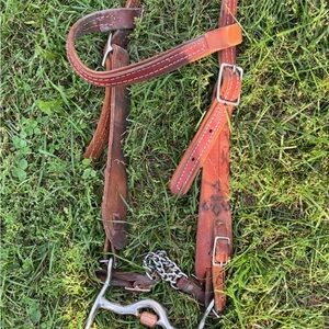 Leather Bridle